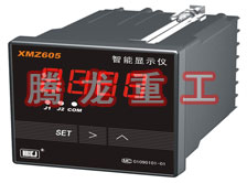 溫度表、數(shù)字顯示儀、濕度表