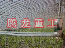 大棚花卉供暖設(shè)備、大棚卉采暖設(shè)備、大棚花卉取暖設(shè)備