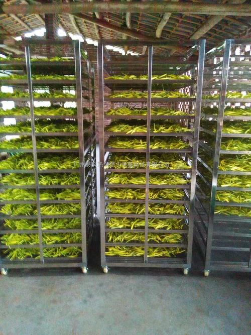黃花菜烘干機、黃花菜烘干設(shè)備、黃花菜干燥機、黃花菜干燥設(shè)備、